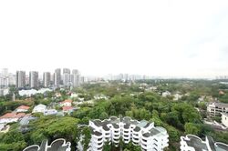 Regency Park (D10), Condominium #607413081